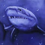 Purple Shark