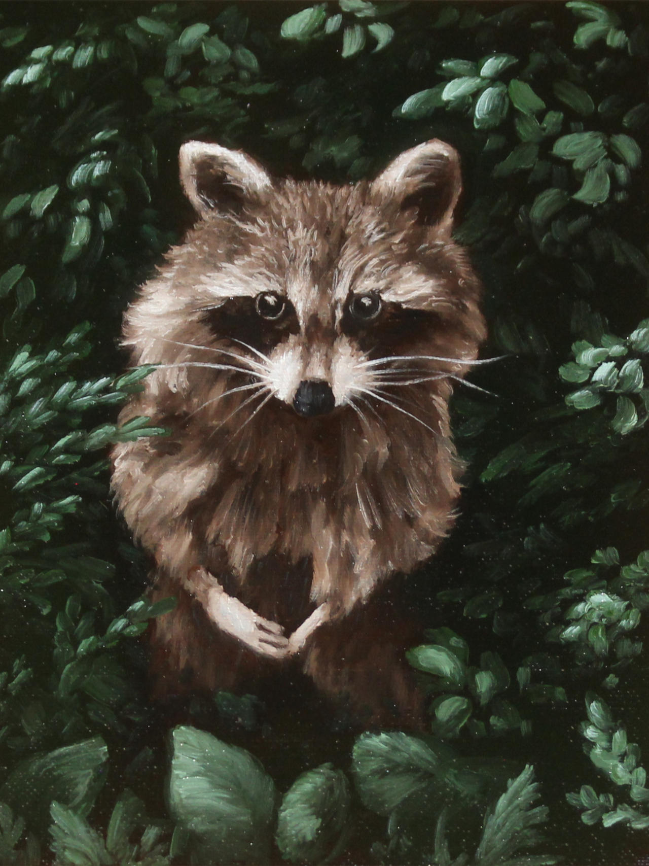 Deviantart Racoon Raccoon by scenesbycolleen on DeviantArt