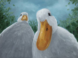 The Ducks Decide