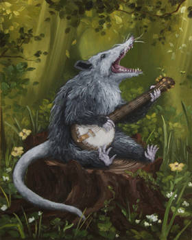 Banjo Possum