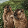 Groundhog Bros