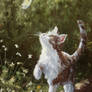 Chasing Butterflies