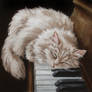 Piano Dreams