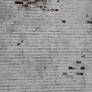 Bunnahabhain white brick wall texture