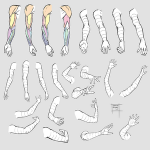 pics Anime Arm Muscle Reference explore the best arm art deviantart