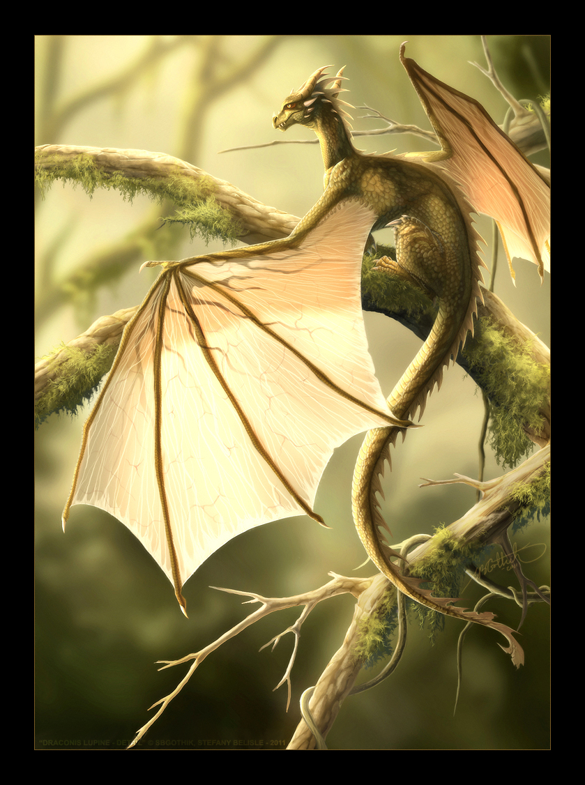 Draconis in Detail