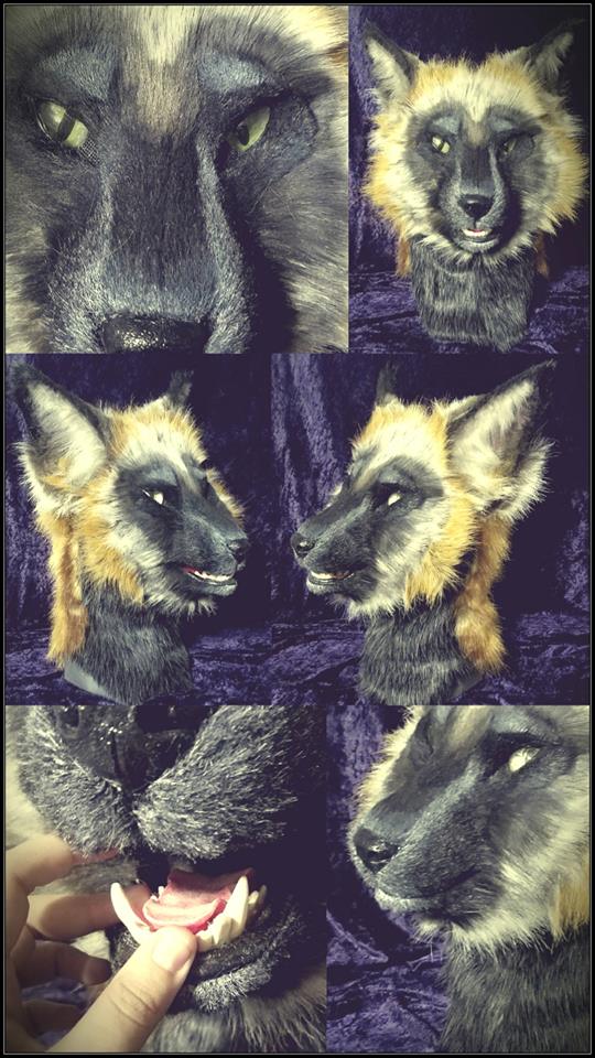 Cinder Cross Fox -- For Sale