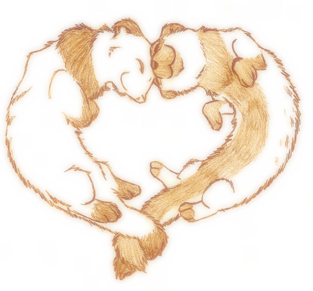 Heart Ferrets