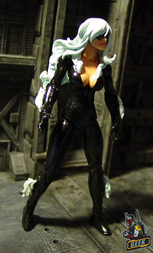 Marvel Universe Black Cat