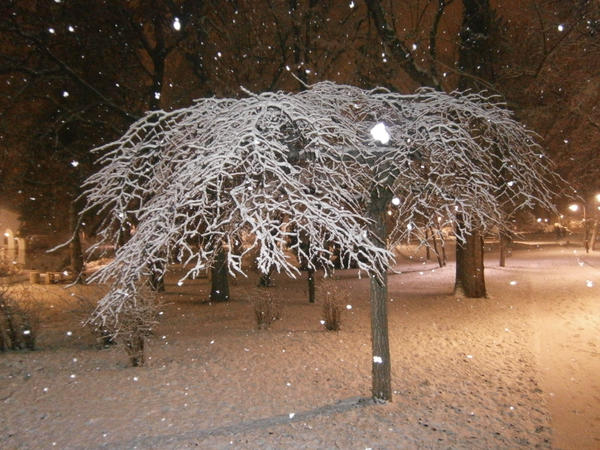 First snow