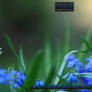 Blueish Rainmeter