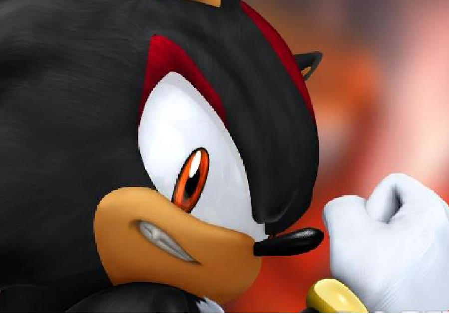 Shadow the hedgehog