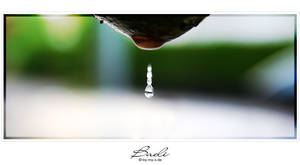 Water Drop