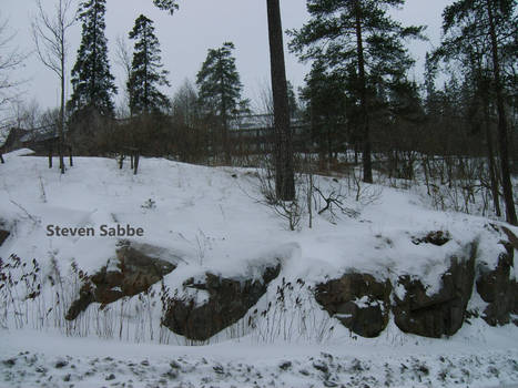 Snowy Rocks