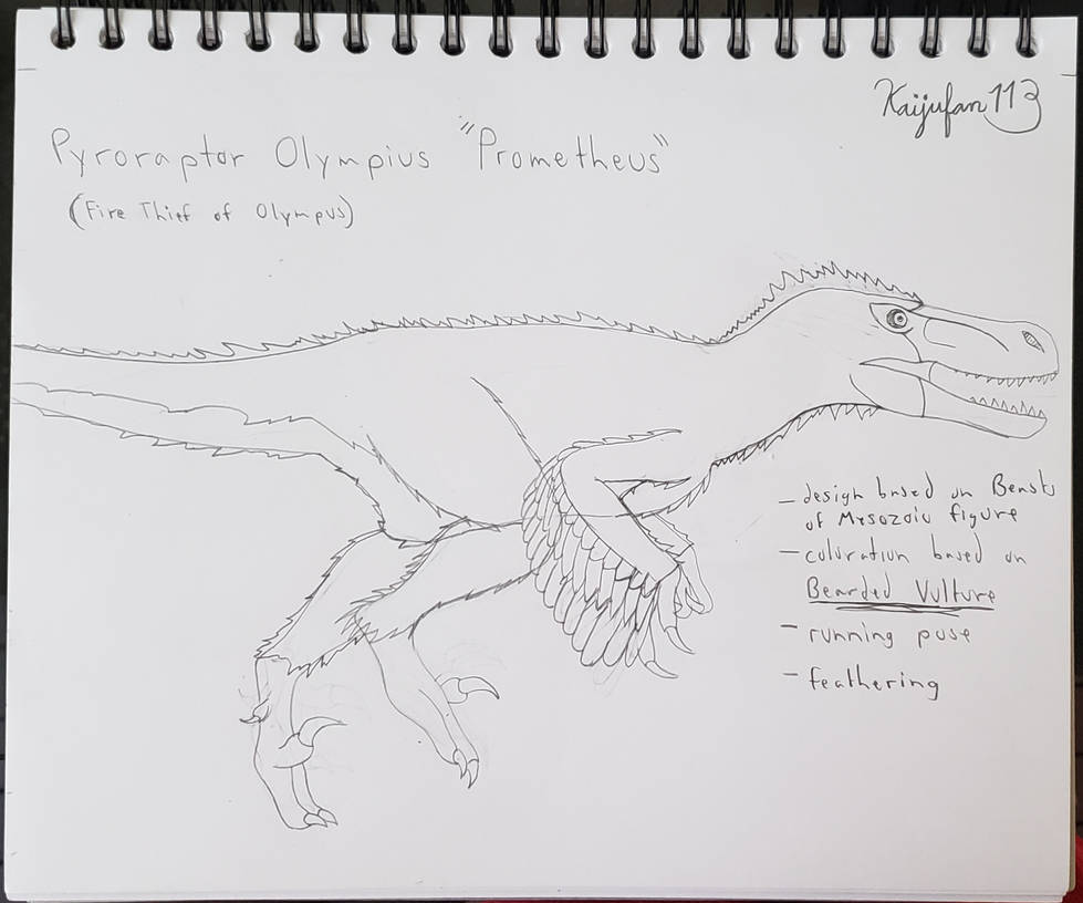 Pyroraptor Practice Sketch by KaijuFan113 on DeviantArt