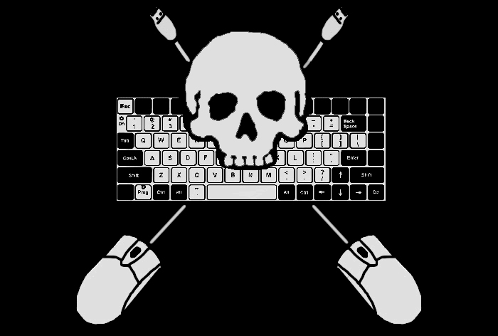 Internet Pirate Flag