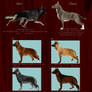 Rifle Litter R1