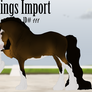 Kings Import 111