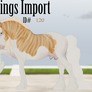 Kings Import 120