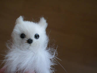 little white fox