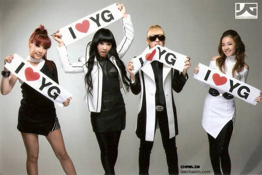 2NE1 I LOVE YG