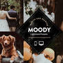 Moody Lightroom Presets