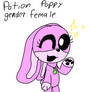 Magical critters info and genders (read desc)