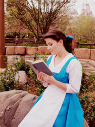 Reading by the castle