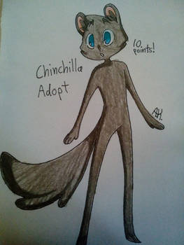 :OPEN: OC Adopt - Chinchilla