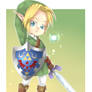 My name is Link, not Zelda