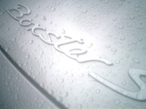 Boxter S Rain Emblem