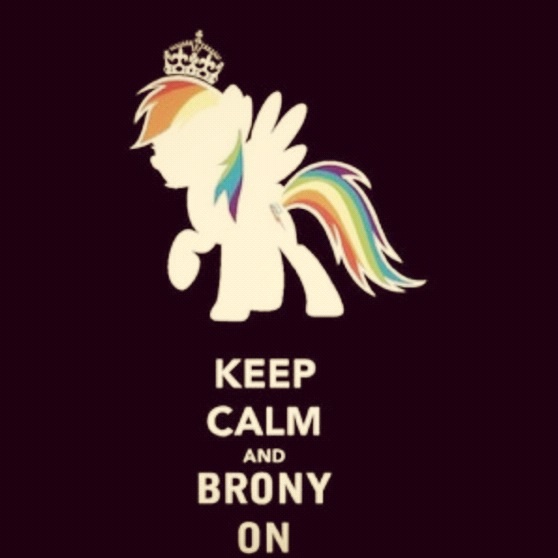 BRONY #brohoof