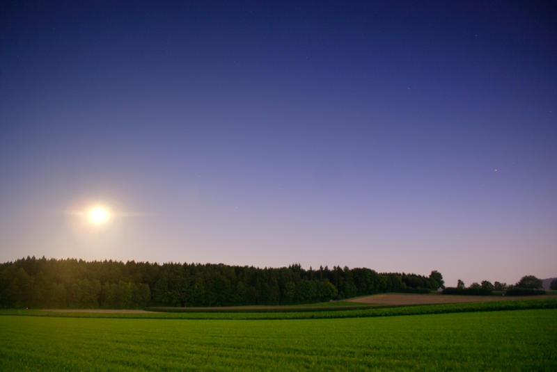 Moonshine by kkeman