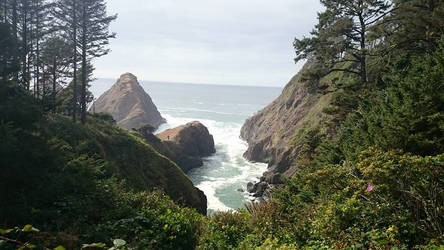 Rugged Pacific