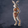 HareLady