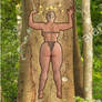 Queen of the jungle: Watch out for that tree 1
