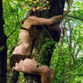 Another normal day as queen of the jungle