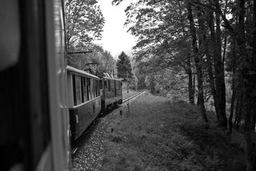 mountain train montreux