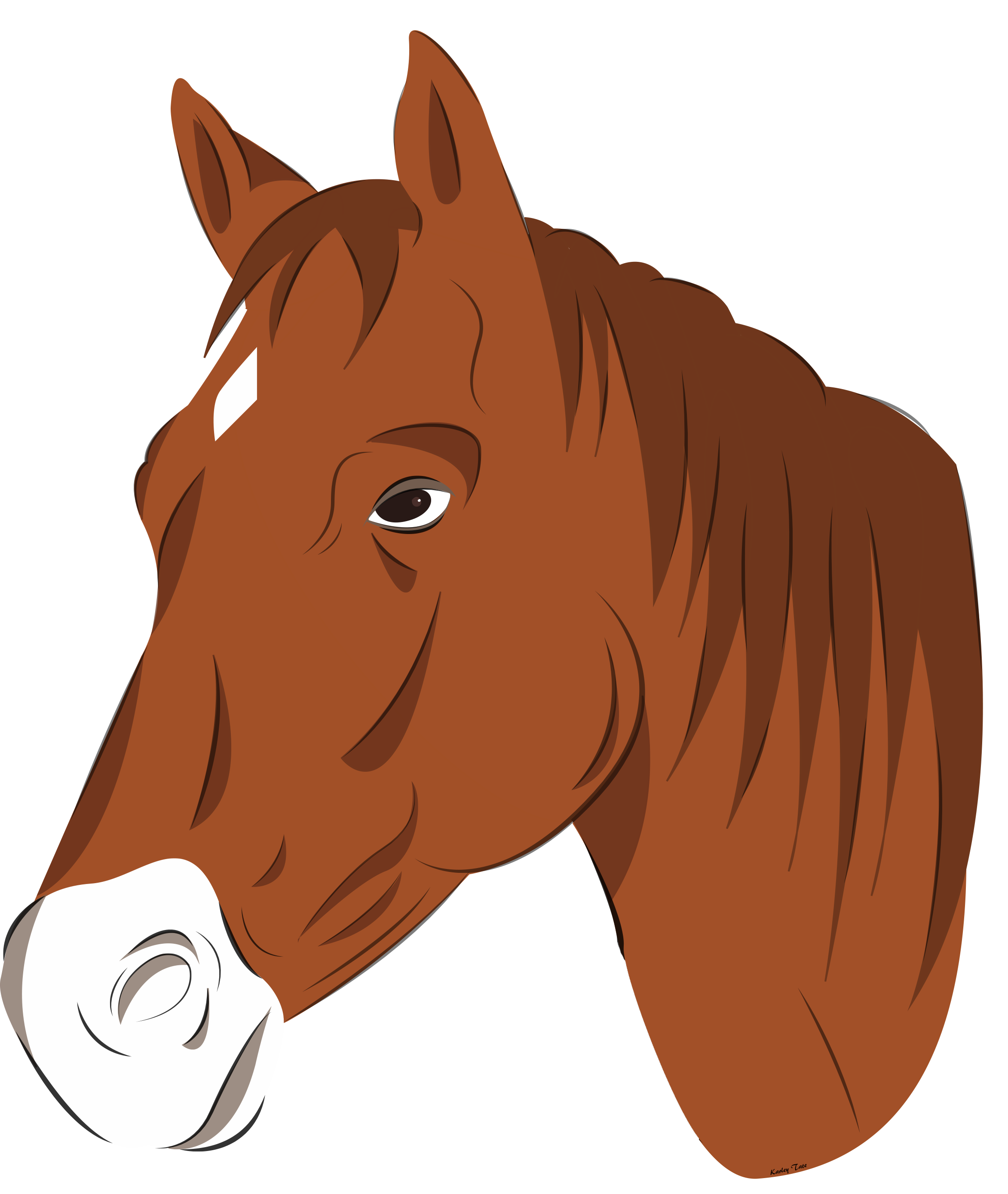 Horse Head Vector