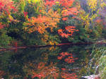 Autumn On The Mianus River by davincipoppalag