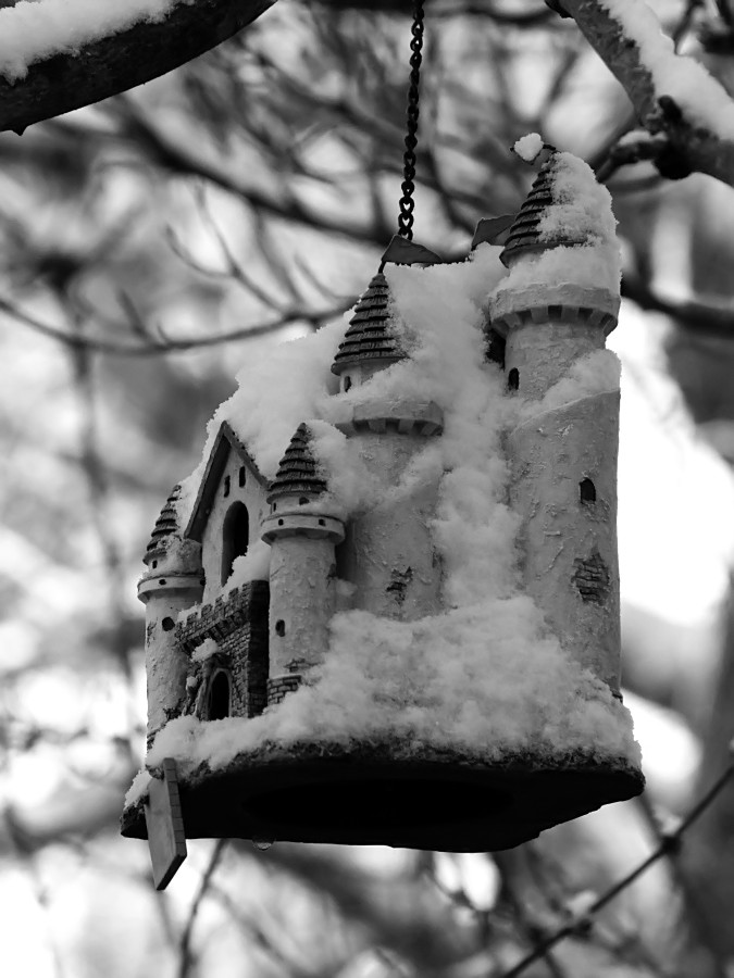 Castle in the Snow