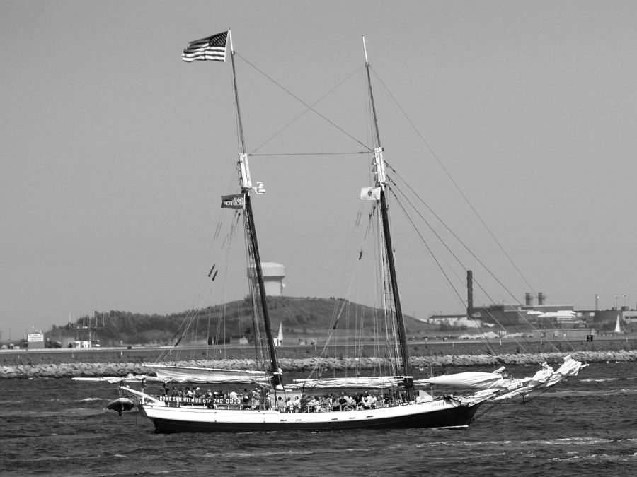 A Gaff Rigged Schooner