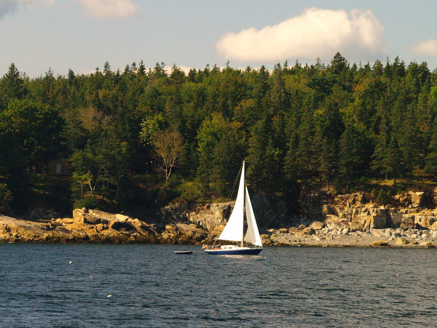 Out for a Sail