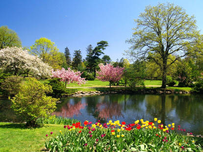 Binney Park in Spring