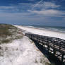 Amelia Island State Park in Florida I