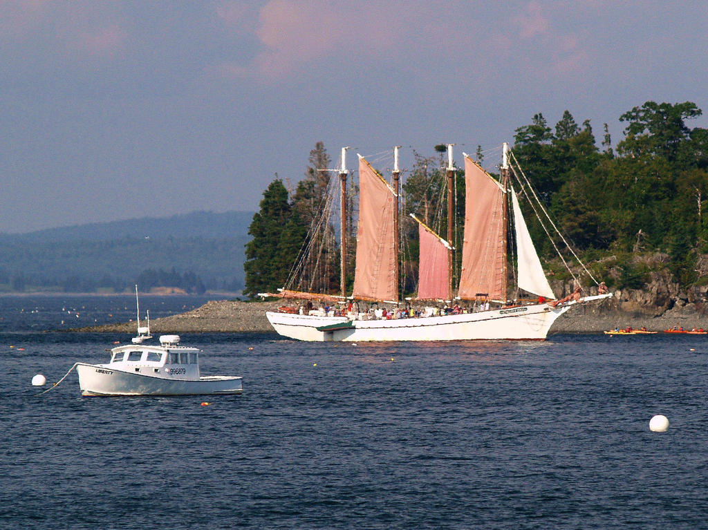 Under Sail