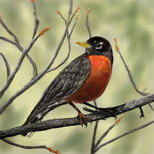 슬롯머신사이트