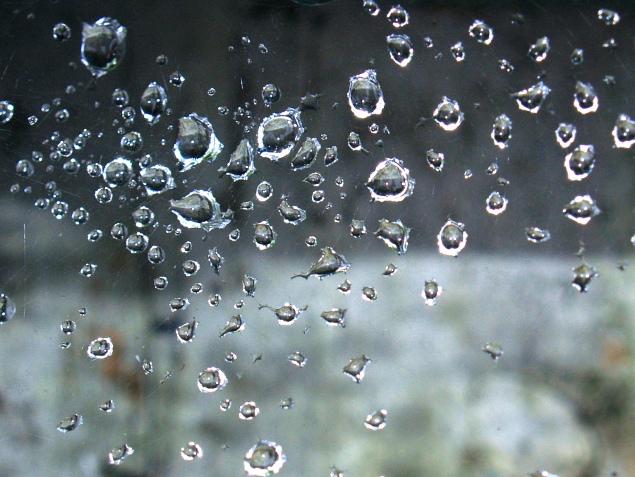 Dew in a Cobweb