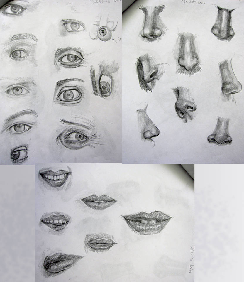 Facial Features Practice by lilisys on DeviantArt