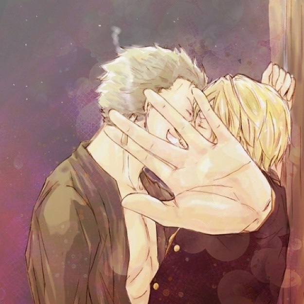 One piece Zosan Zoro and Sanji